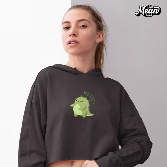 Cute 2025 crop hoodies